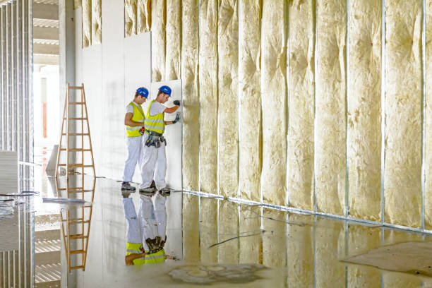 Best Insulation Air Sealing  in USA